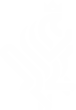 Лого современного геральдического льва